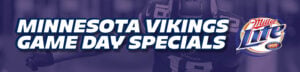 VIKINGS GAME TIME PARTY web banner